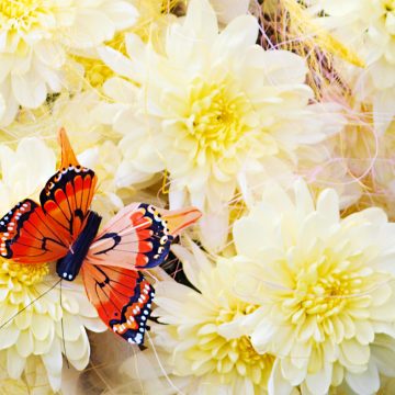 Terrassenbau + Sonnenschutz